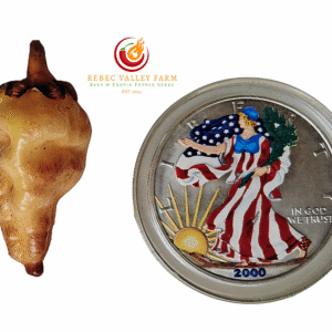 Peach Gum Tiger V1 Pepper