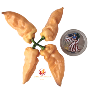 Peach Reaper DS V1 Pepper