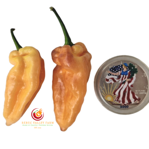 Peach Reaper DS V2 Pepper