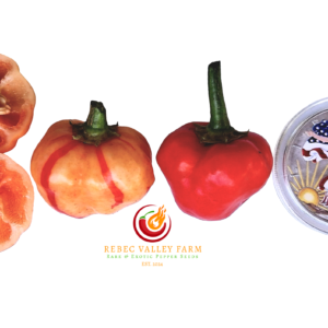 Peppapeach Stripey Pepper