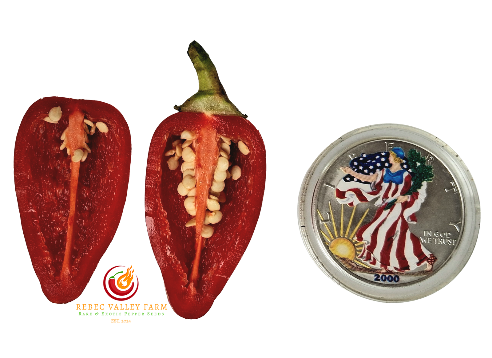 NuMex Pinata Jalapeno Pepper - Image 2