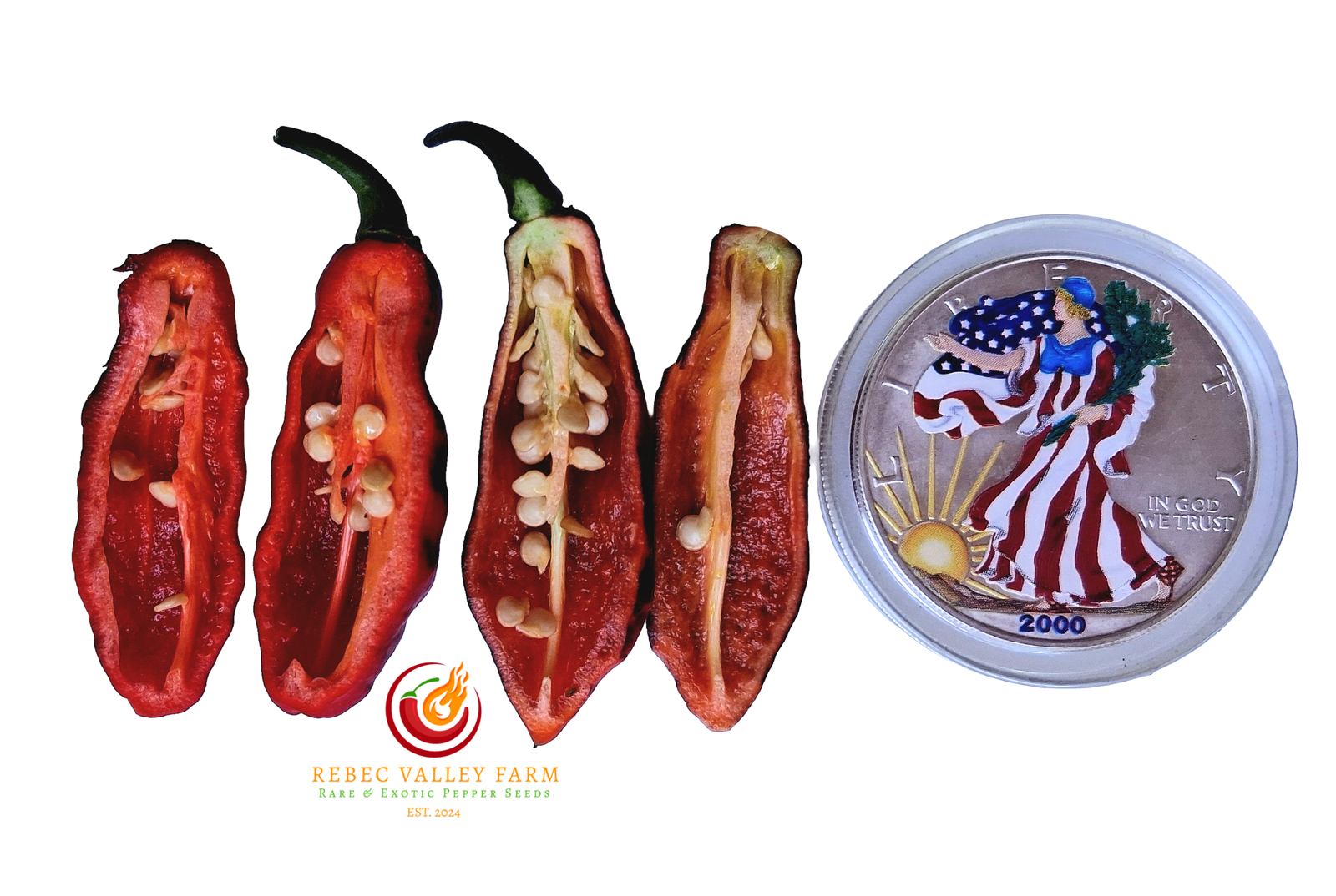 PJ Molten Ice Pepper - Image 2