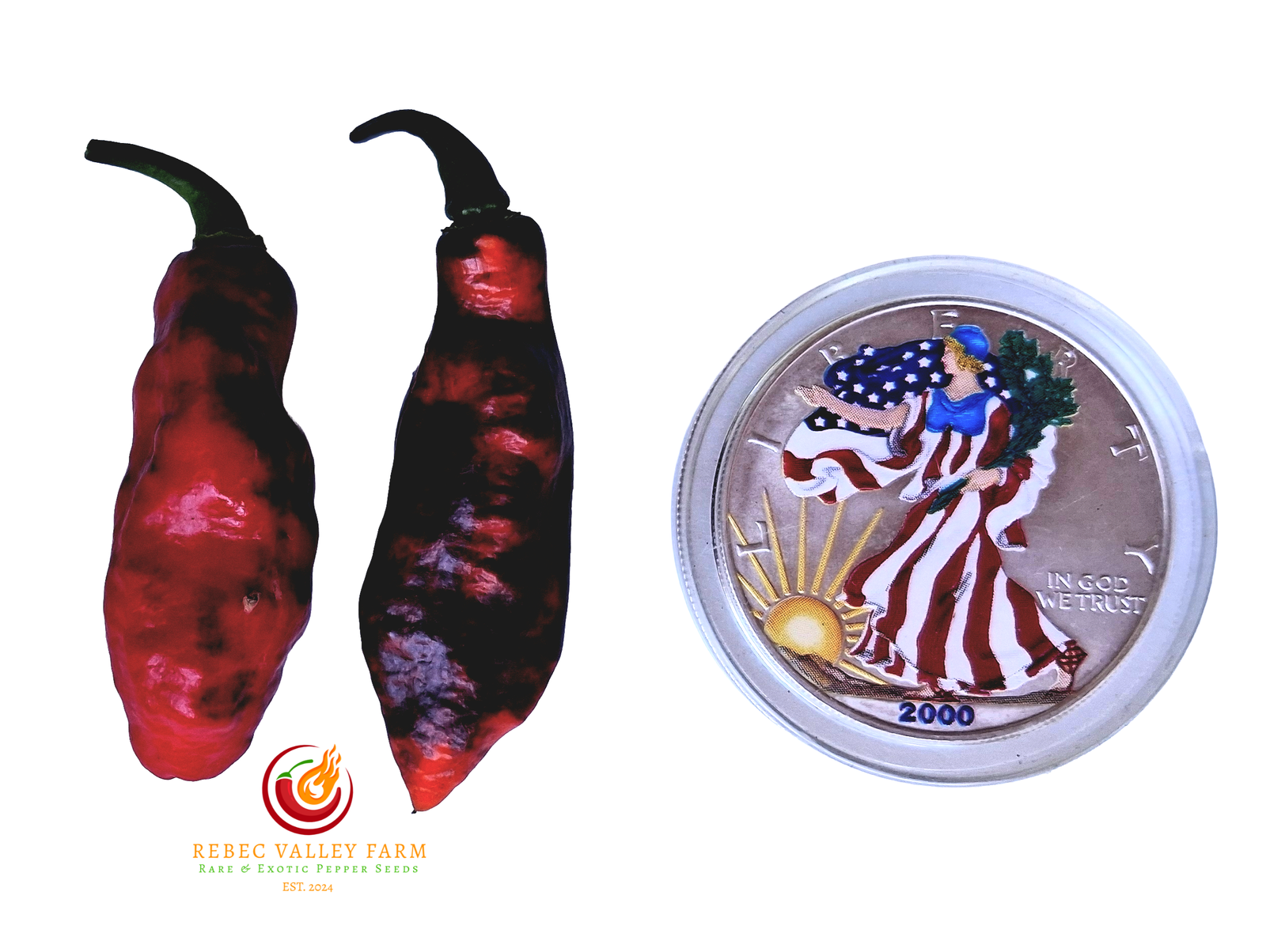 PJ Molten Ice Pepper