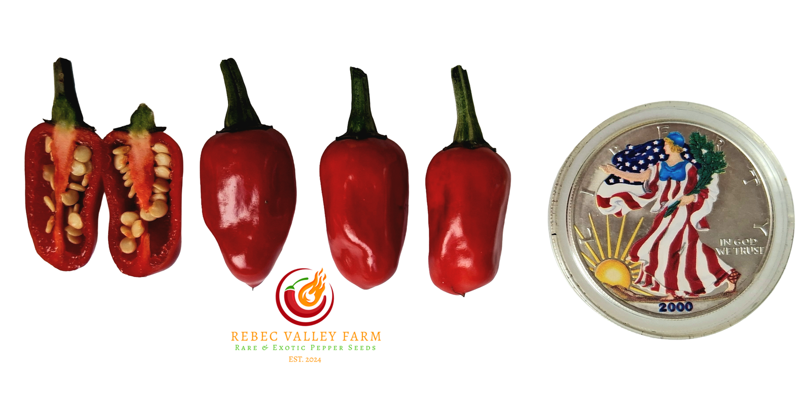 Purple Cacho White Leaf Pepper