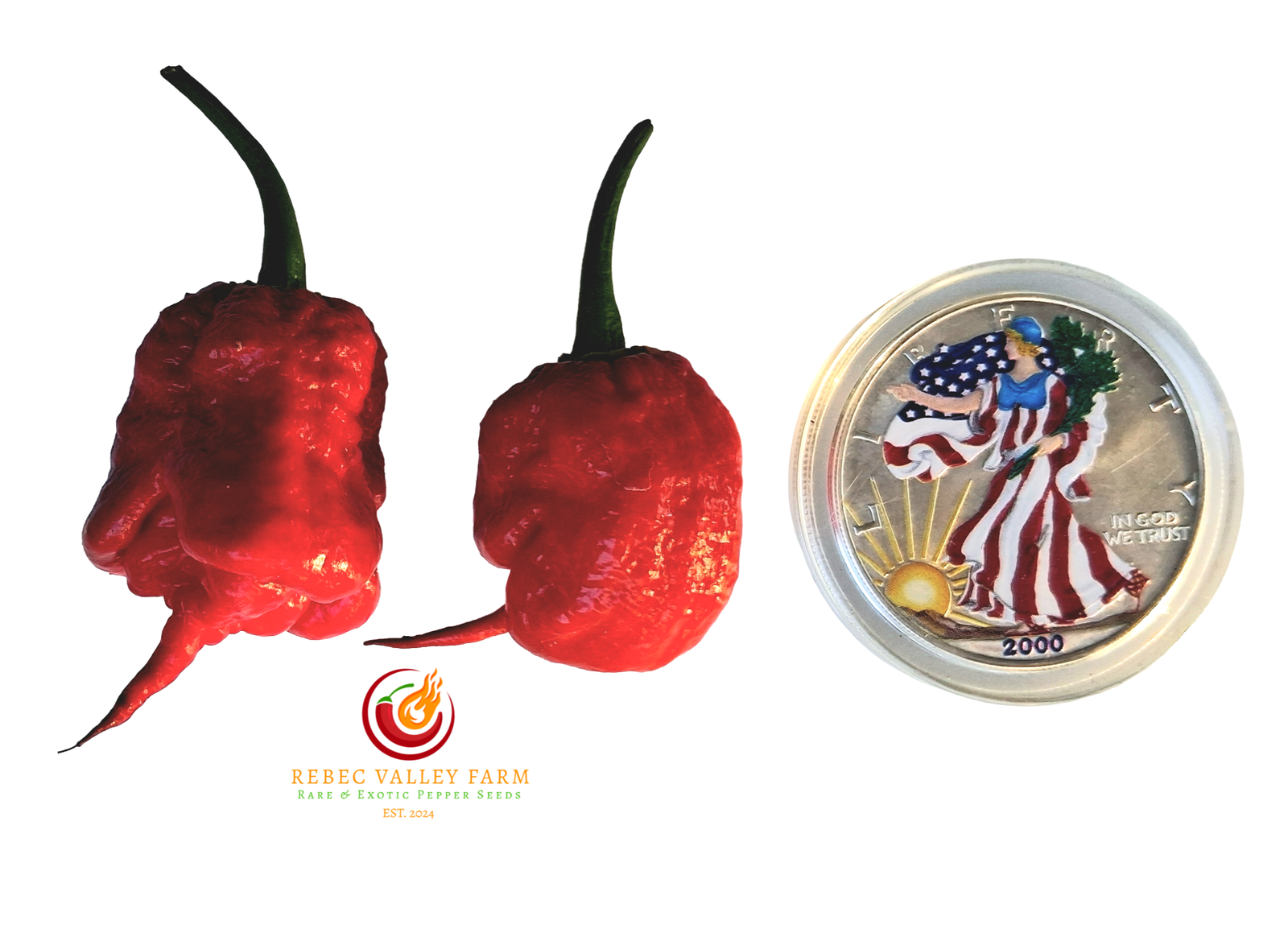 Gator Jigsaw Purple Pepper - Image 6