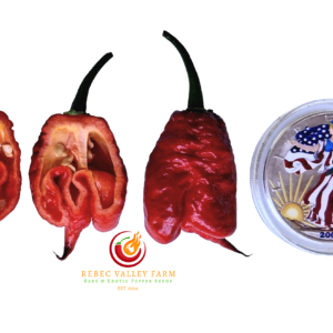 Gator Jigsaw Purple Pepper