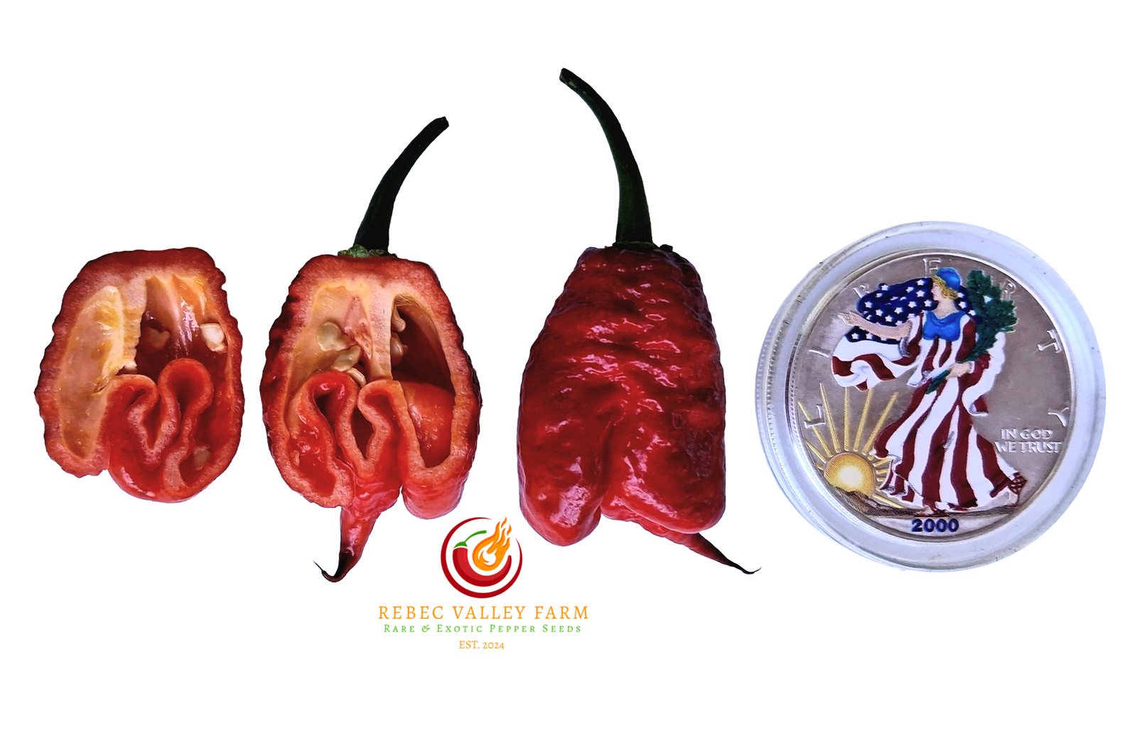 Gator Jigsaw Purple Pepper