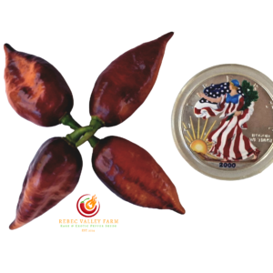 Purple Uprising Orange V2 Pepper