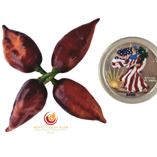 Purple Uprising Orange V2 Pepper