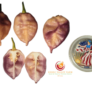 Purple Uprising Peach Pepper