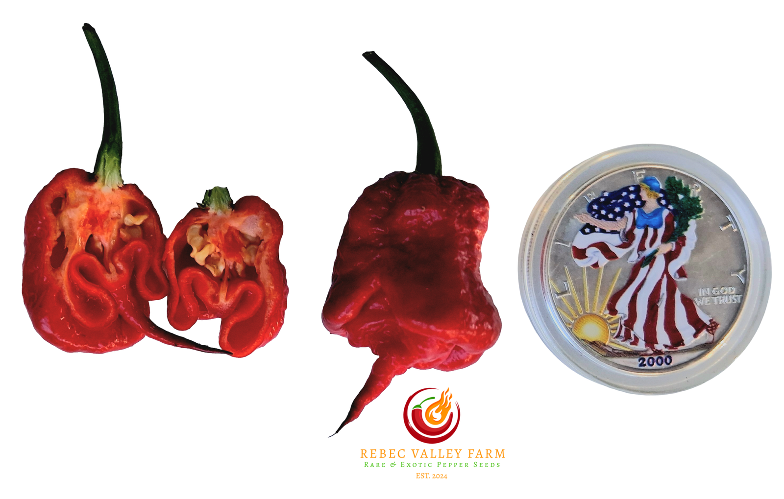 Gator Jigsaw Purple Pepper - Image 2