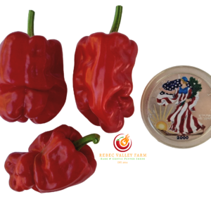 Red Dragon's Toe Pepper