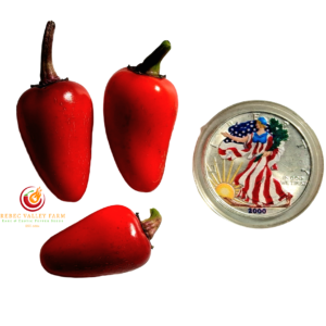 Rob's Rad Jalapeno Pepper