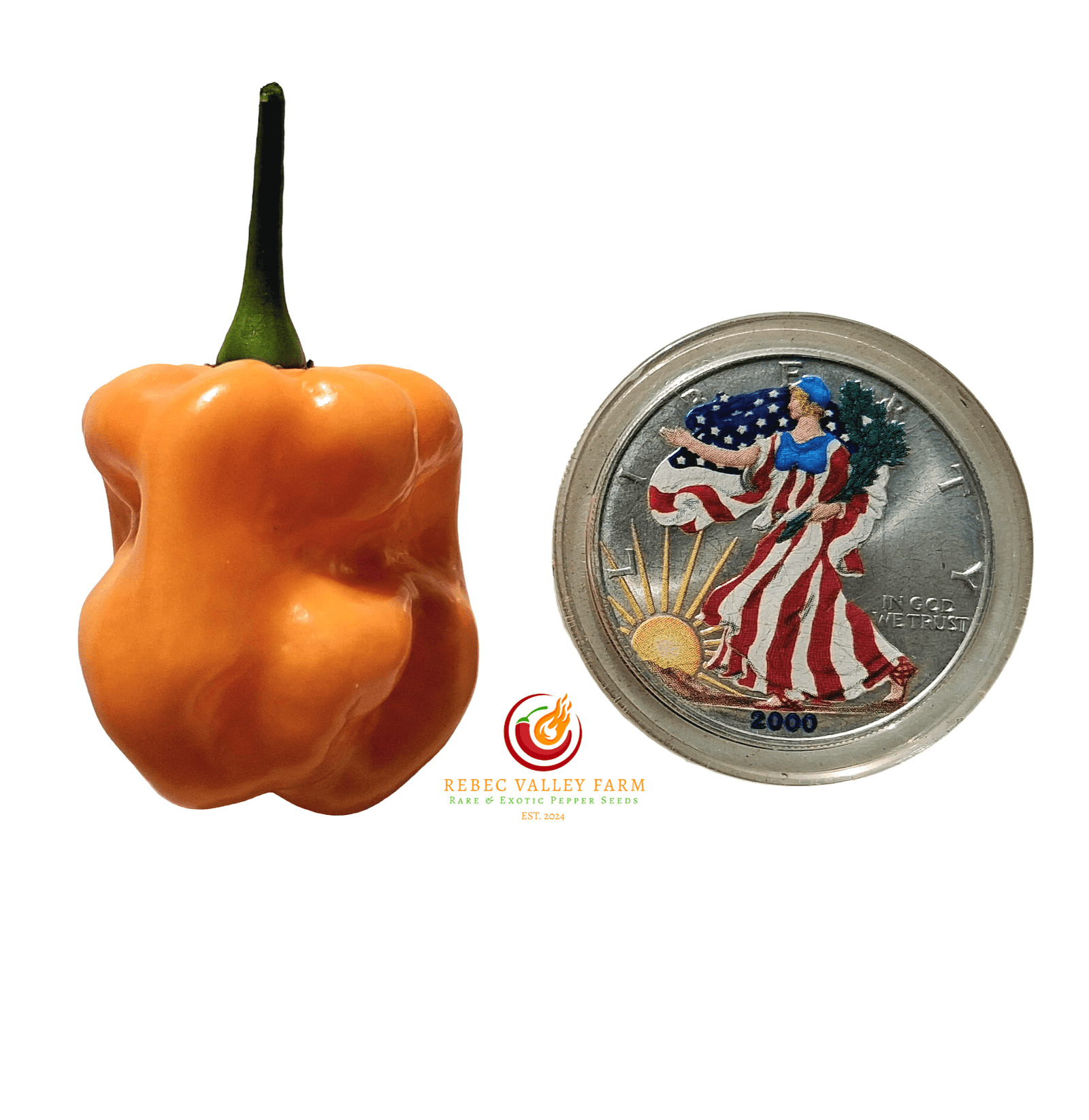 Roger's Giant Orange Habanero Pepper