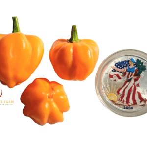 St. Lucia Scotch Bonnet Pepper