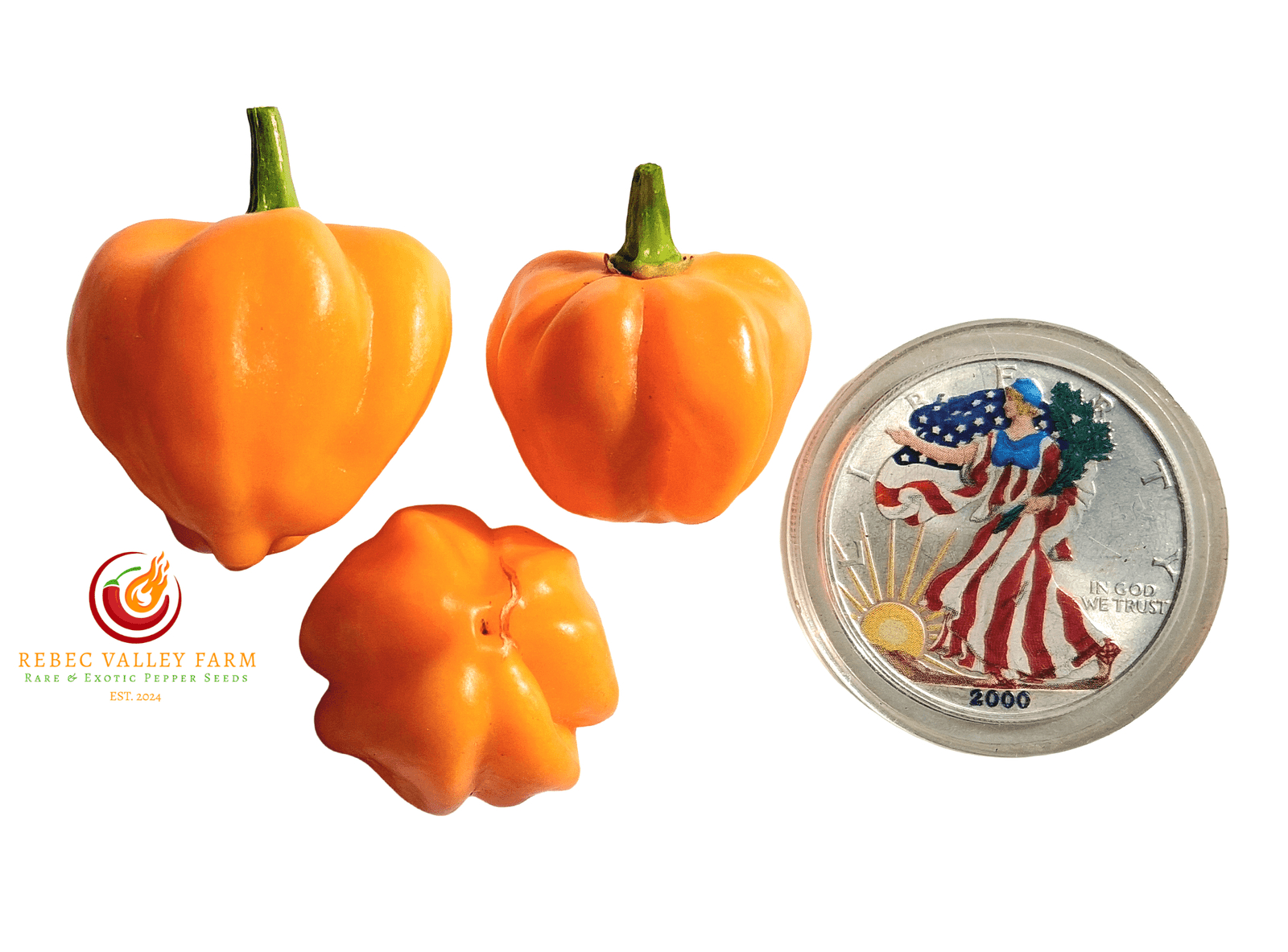 St. Lucia Scotch Bonnet Pepper