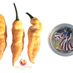 Tiberius Mauler Peach Pepper