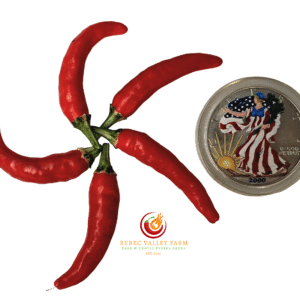 Tiger Thunder Pepper