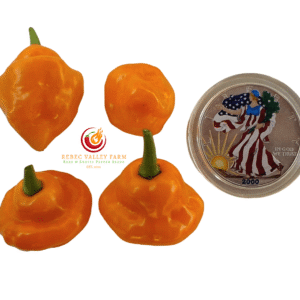 Trinidad Perfume Pepper