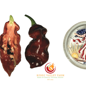 Trinidad Viper Brown Skinny Pepper