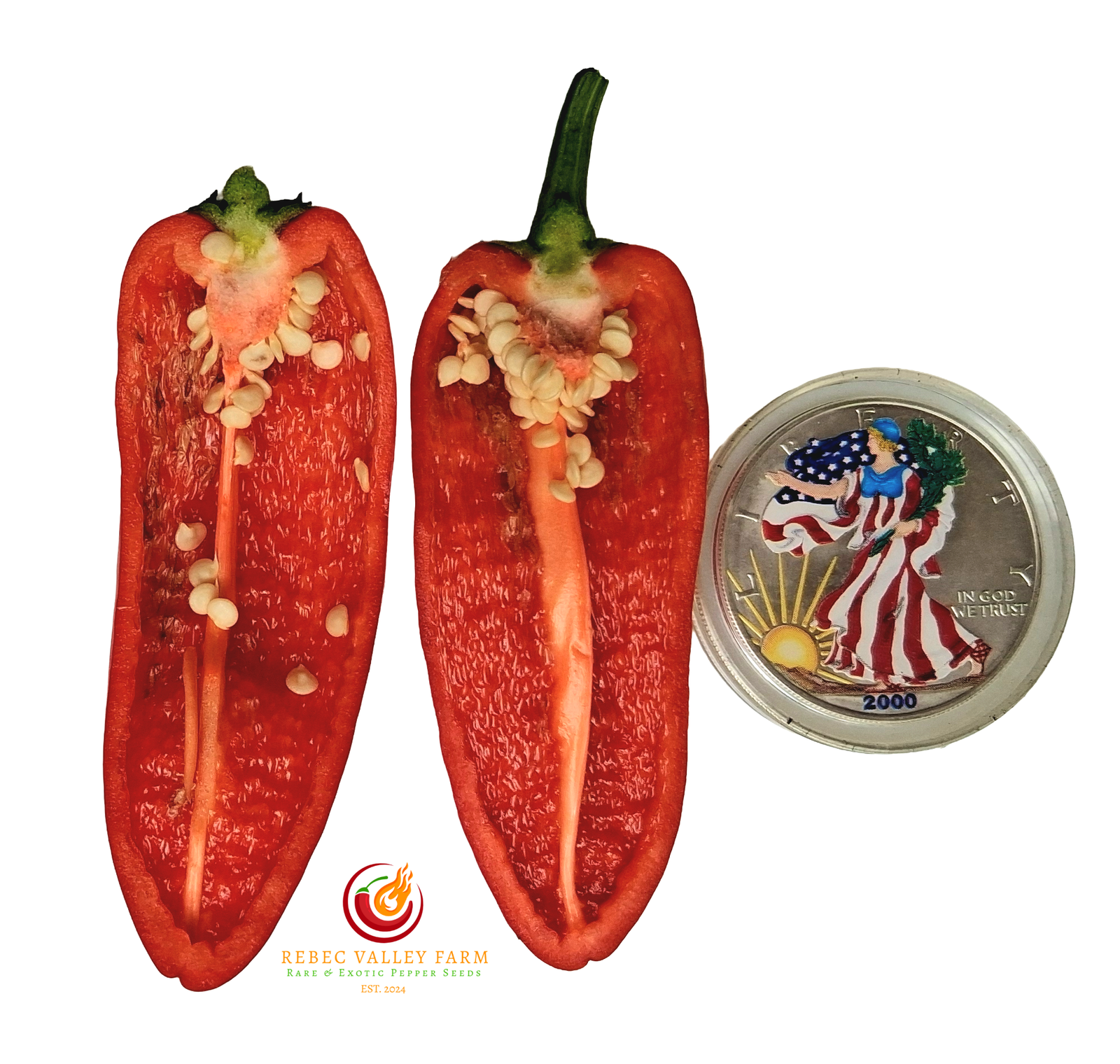 Txorixero Pepepr - Image 2