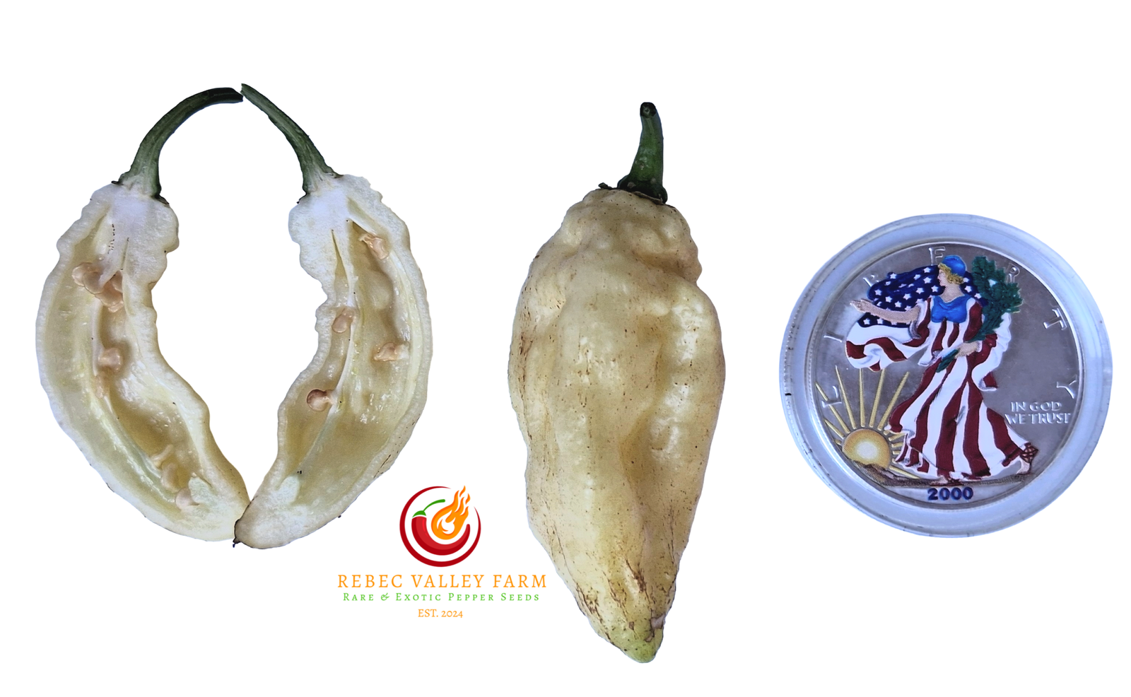 White Ghost (Bhut Jolokia) Pepper