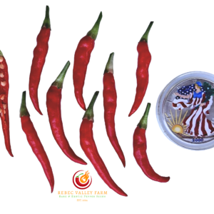 White Thai Variegated Pepper