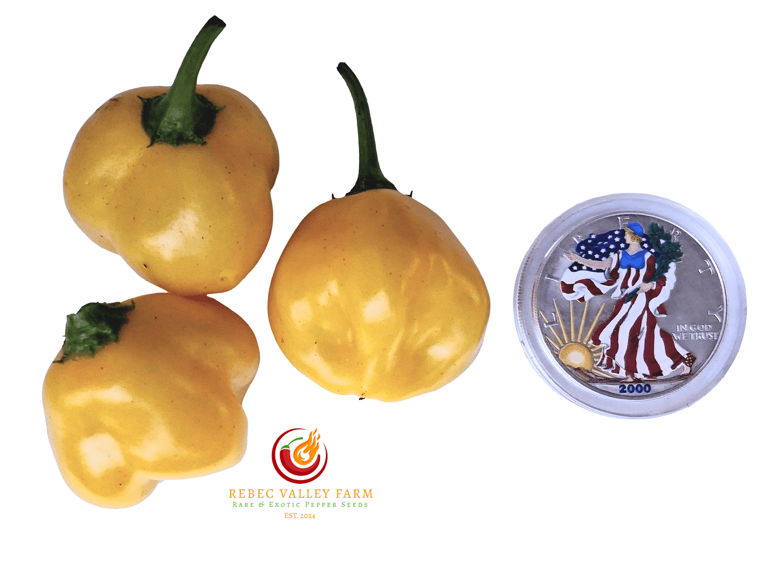 Yellow Zebrange Pepper