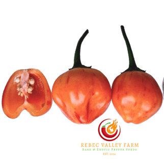 Zebrange Pepper