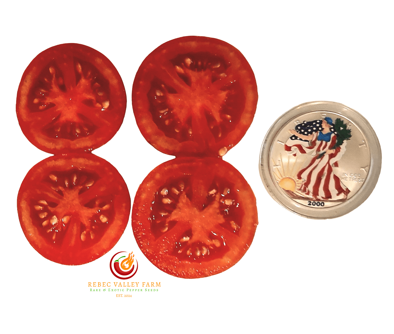 Arkansas Traveler Tomato - Image 2