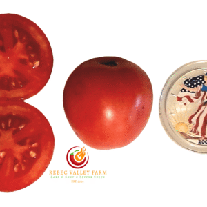 Arkansas Traveler Tomato