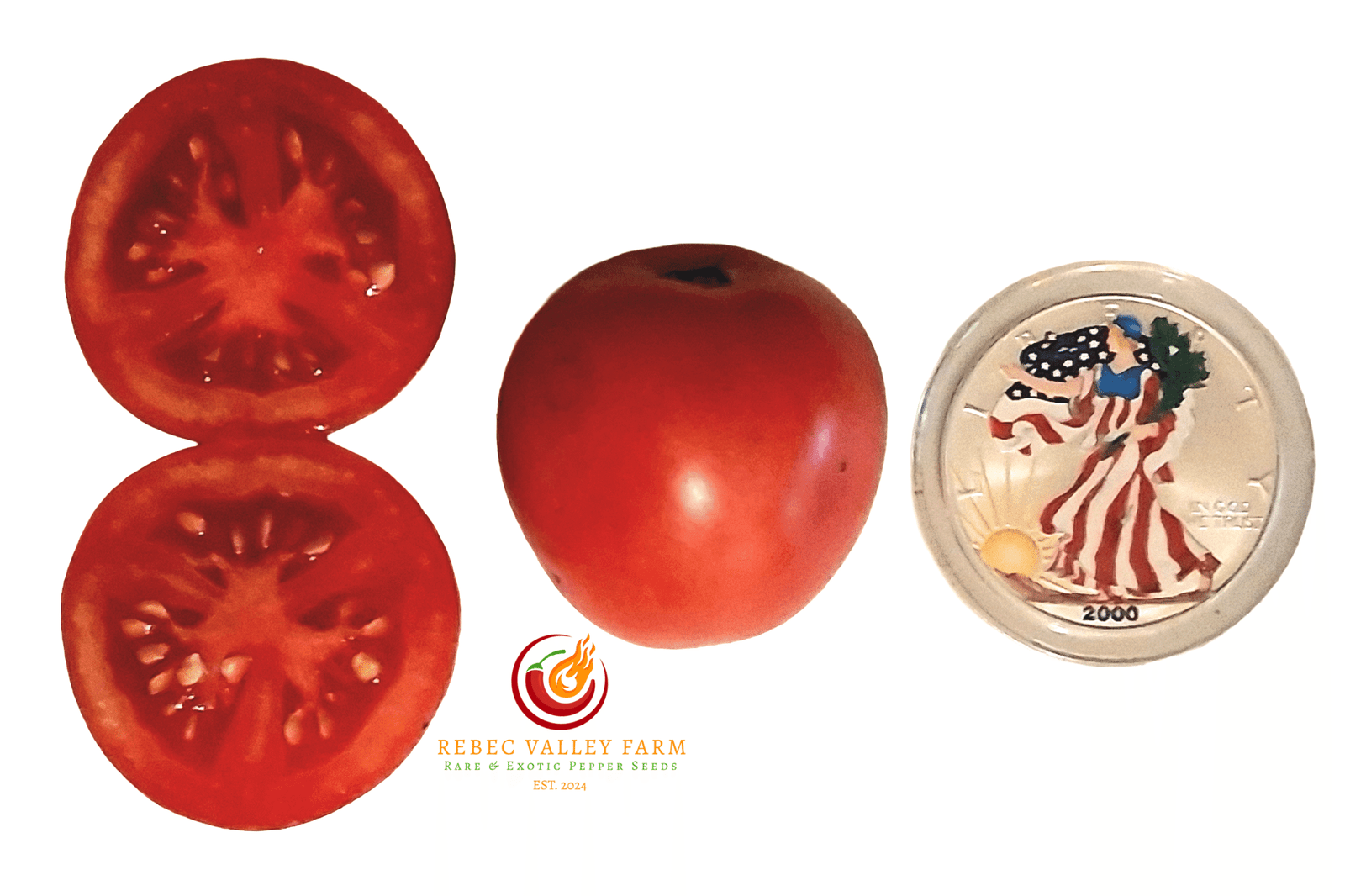 Arkansas Traveler Tomato