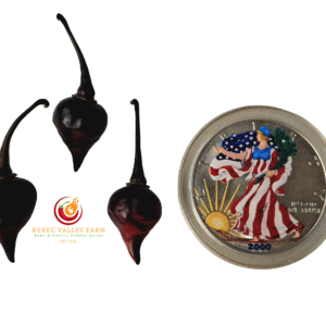 Biquinho Black Pepper