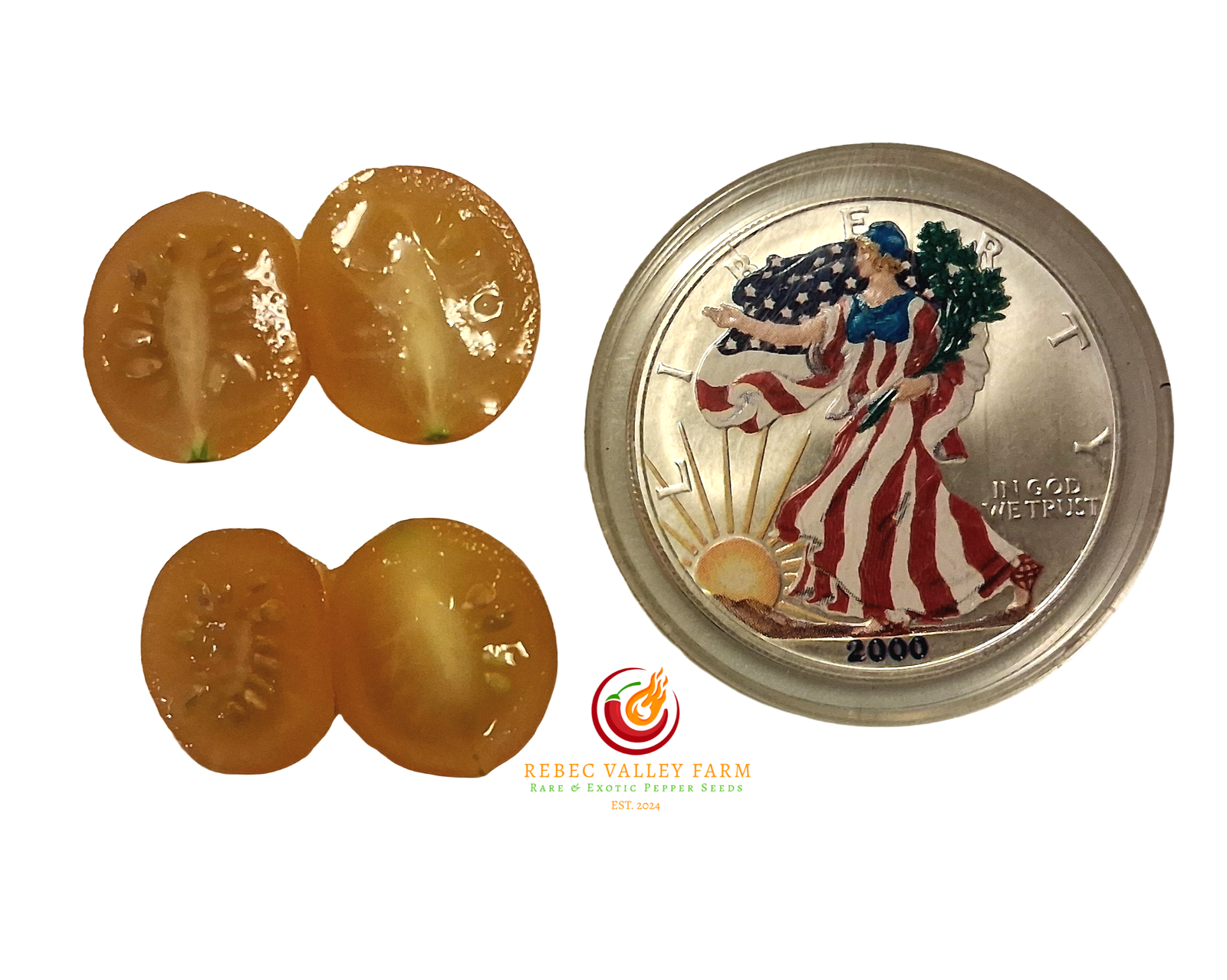 Blondkopfchen Tomato - Image 2