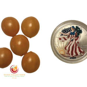 Blondkopfchen Tomato