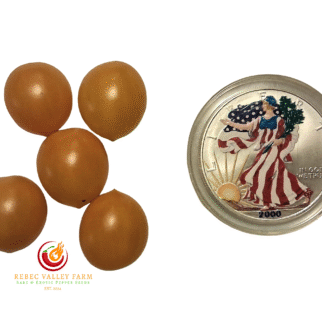 Blondkopfchen Tomato