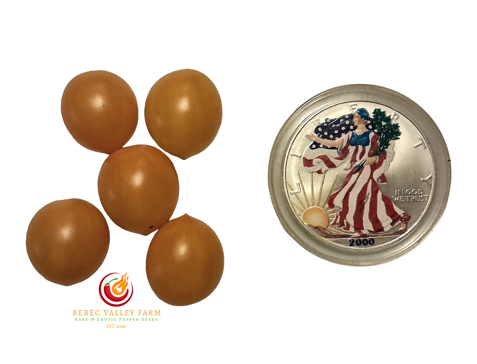 Blondkopfchen Tomato