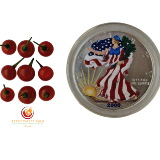 Capsicum Flexuosum Pepper