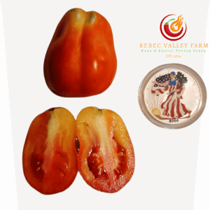 Charlie Chaplin Tomato