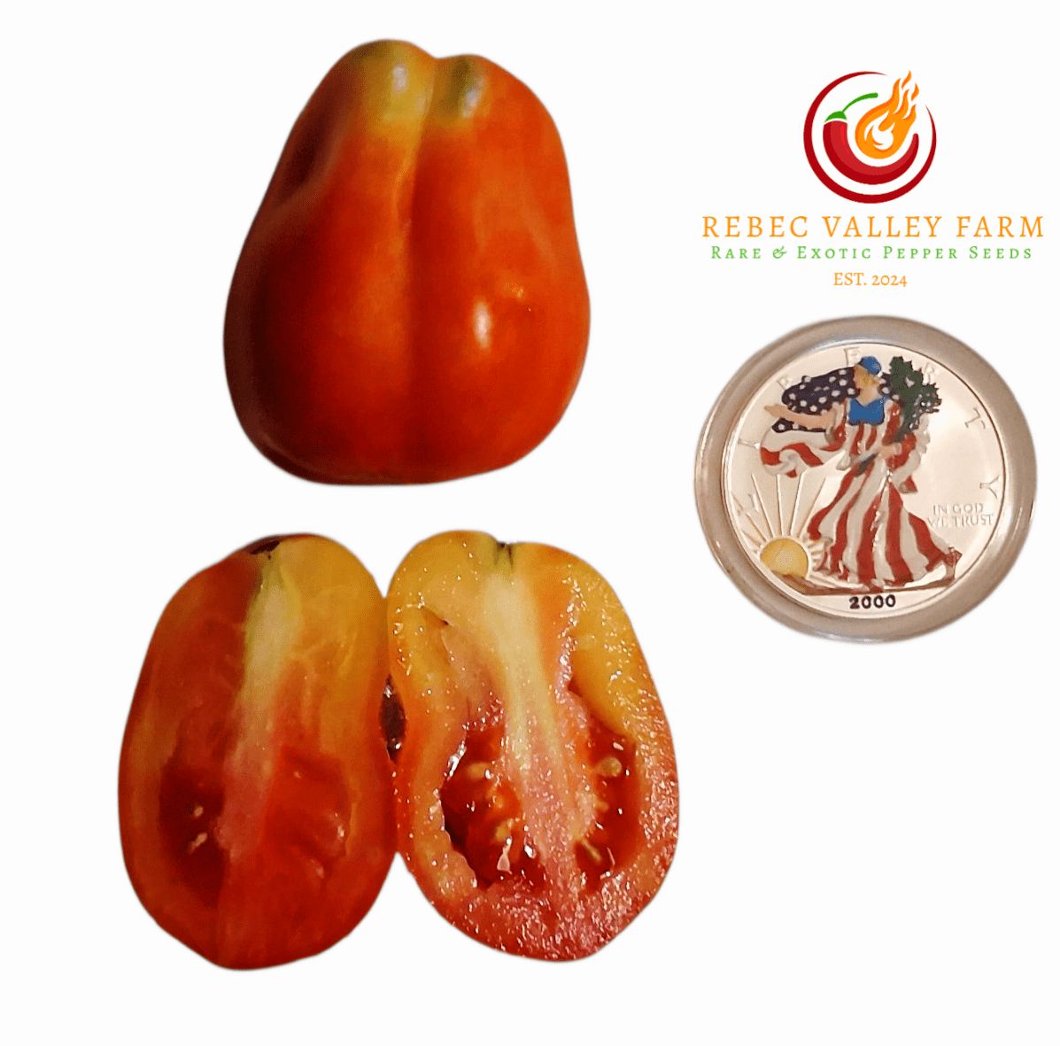 Charlie Chaplin Tomato