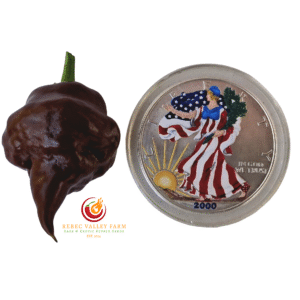 Chocolate Hand Grenade Pepper
