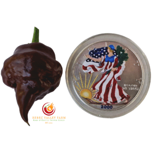 Chocolate Hand Grenade Pepper