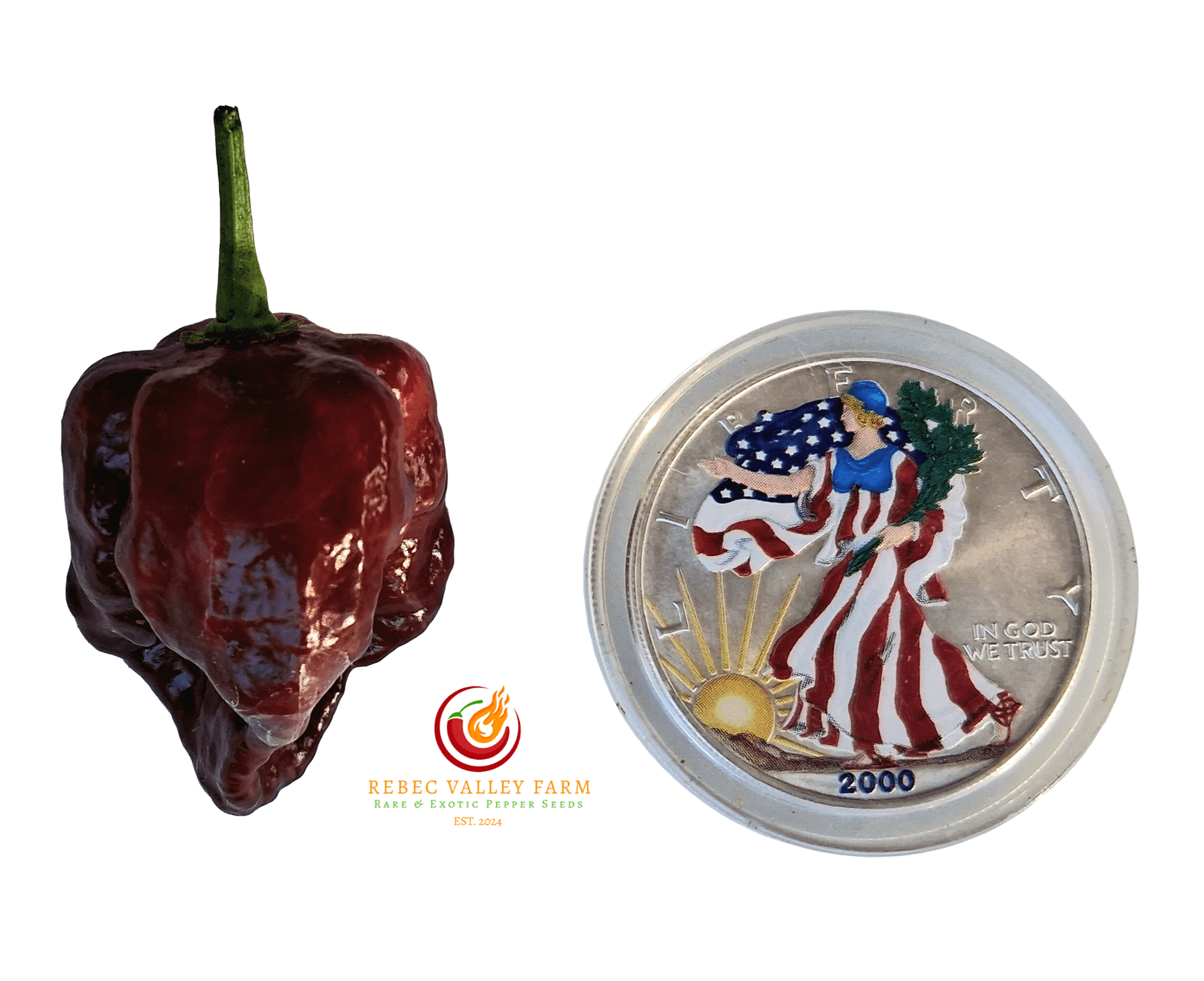 Trinidad Chocolate Scorpion Pepper