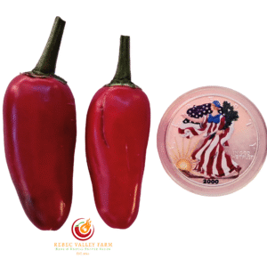 Classic Jalapeno Pepper