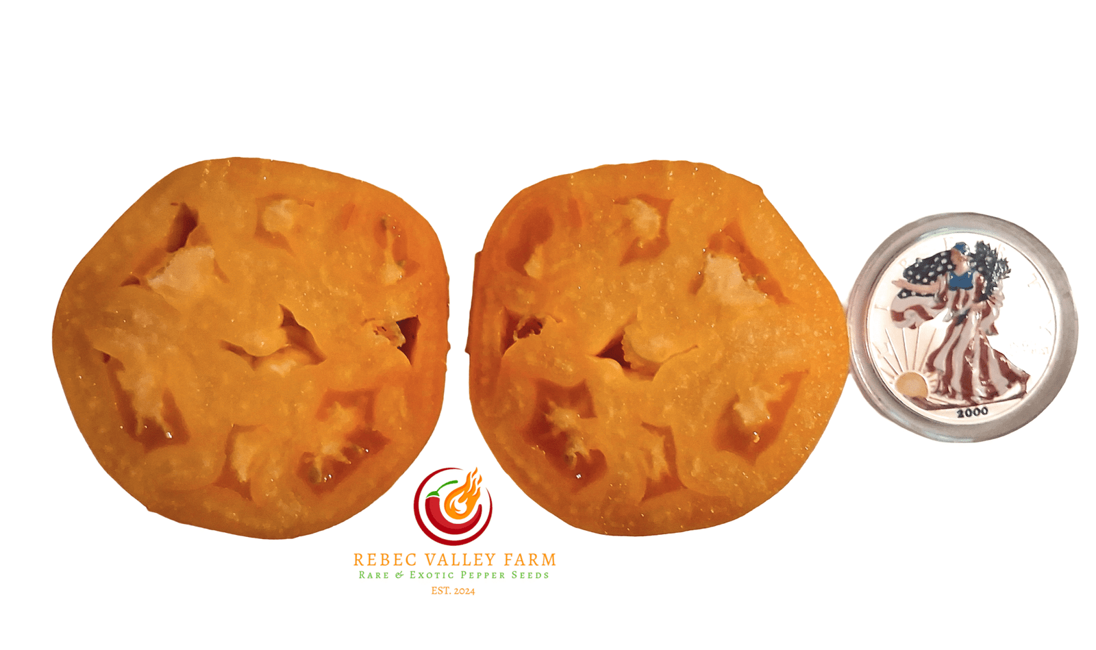 Dixie Golden Giant Tomato - Image 2