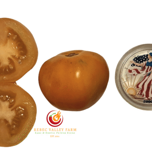 Dwarf Gandolf Tomato