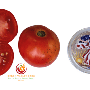 Dwarf Iditarod Red Tomato