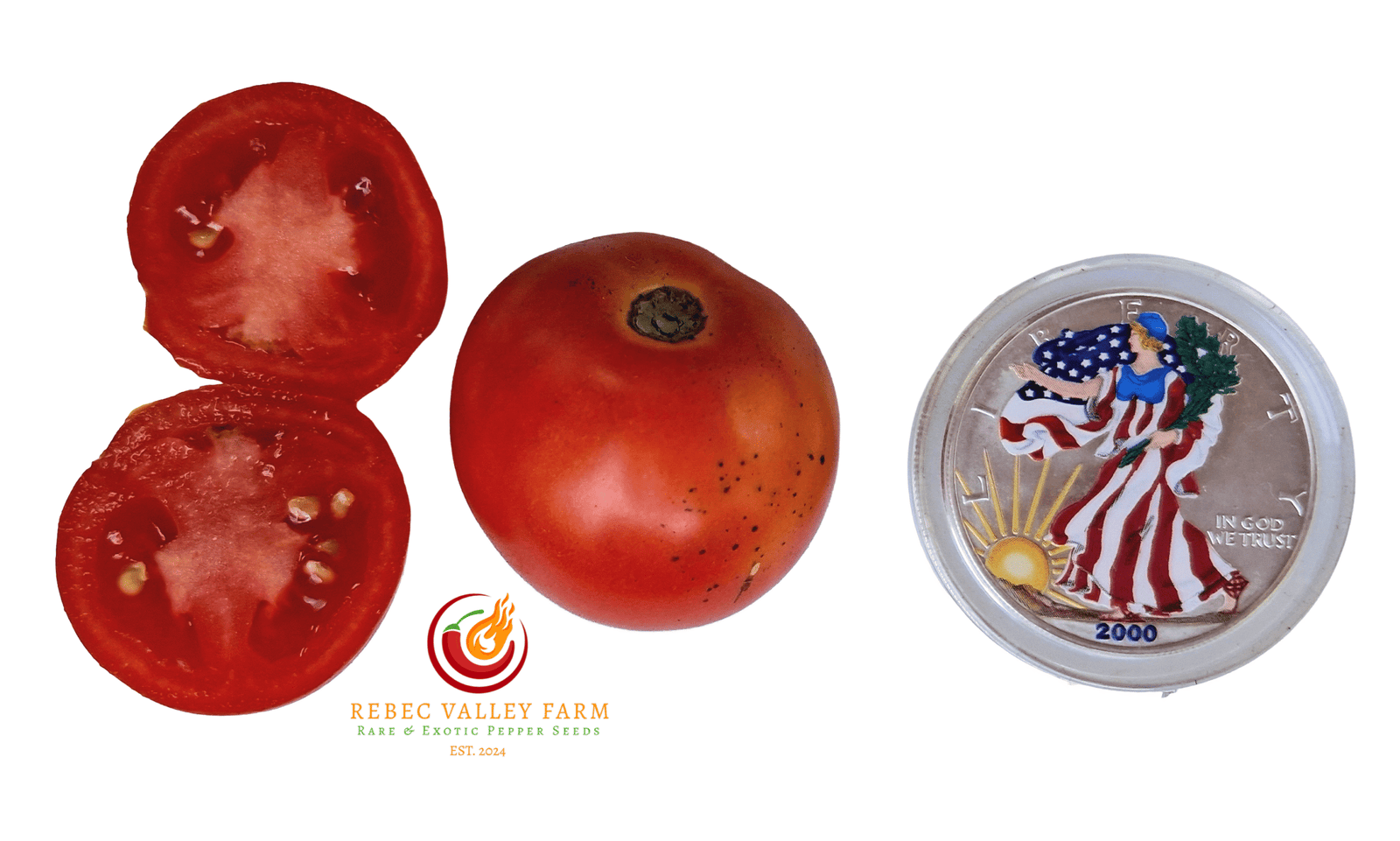 Dwarf Iditarod Red Tomato