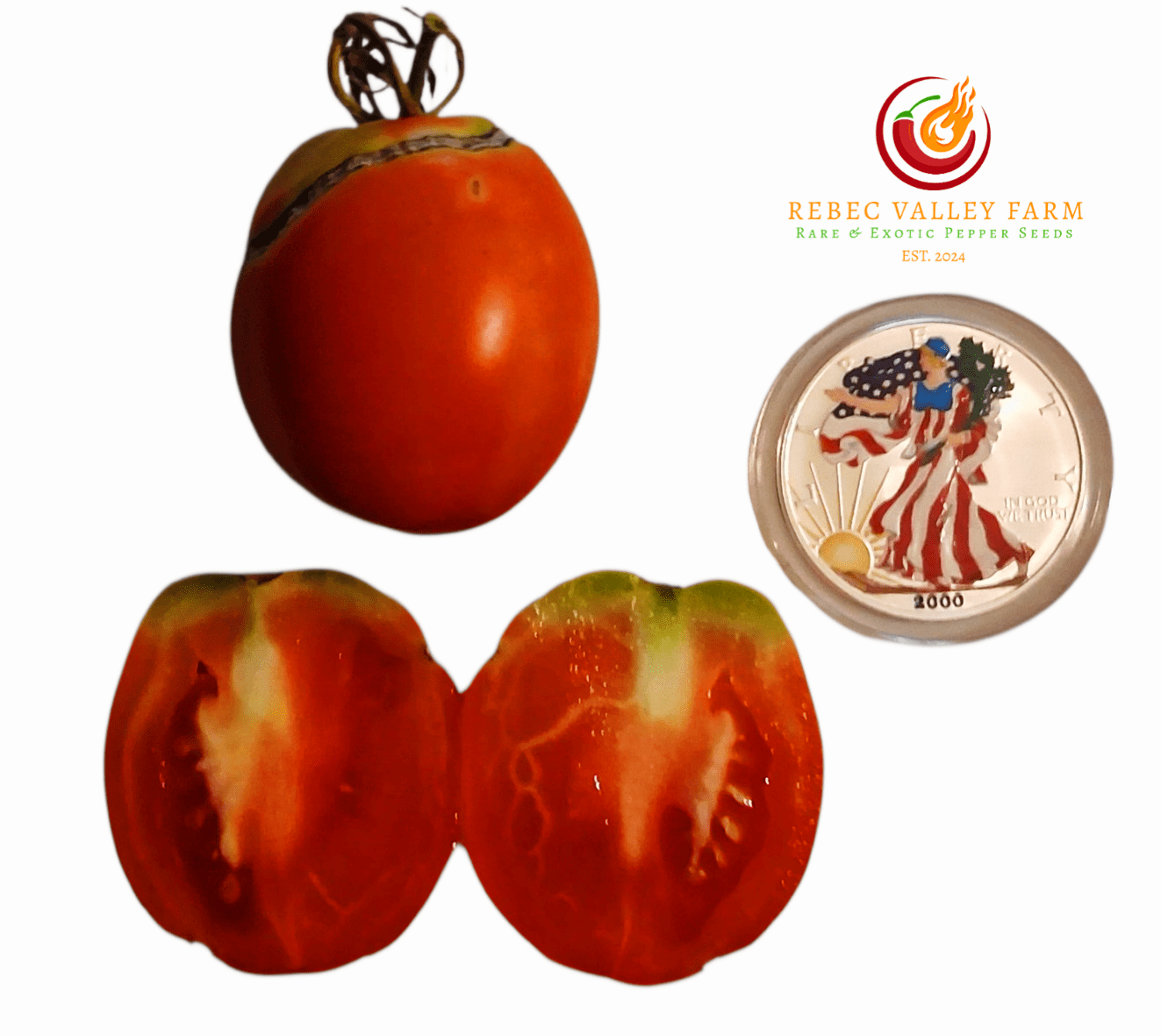 Dwarf Laura's Bounty Tomato