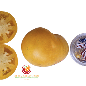 Dwarf Lemon Ice Tomato